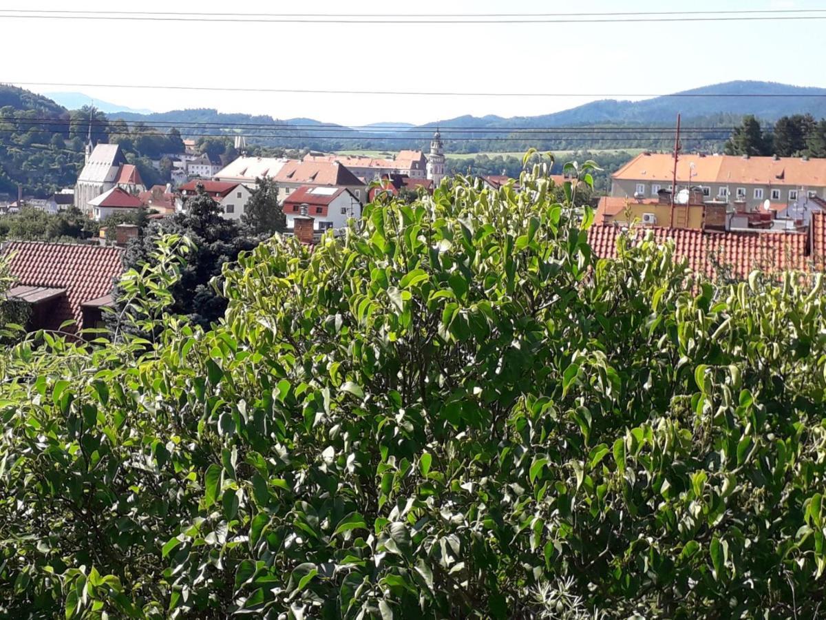 Apartman Pod Serikem Český Krumlov 外观 照片